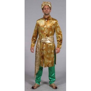 Location costume Maharadja vert