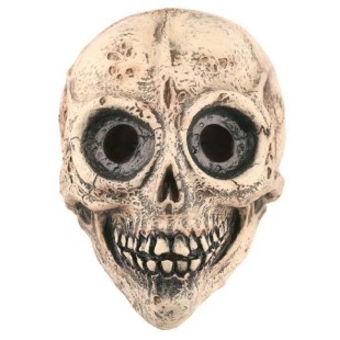 Masque latex skull + casque