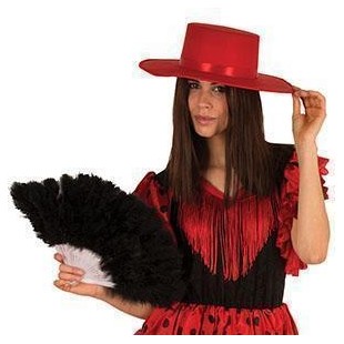 Espagnol feutre noir