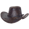 Chapeau cowboy crocodile