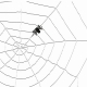 Toile d'araignée + araignée 2m