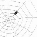 Toile d'araignée blanche 1.5m