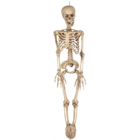 Décoration squelette 90cm