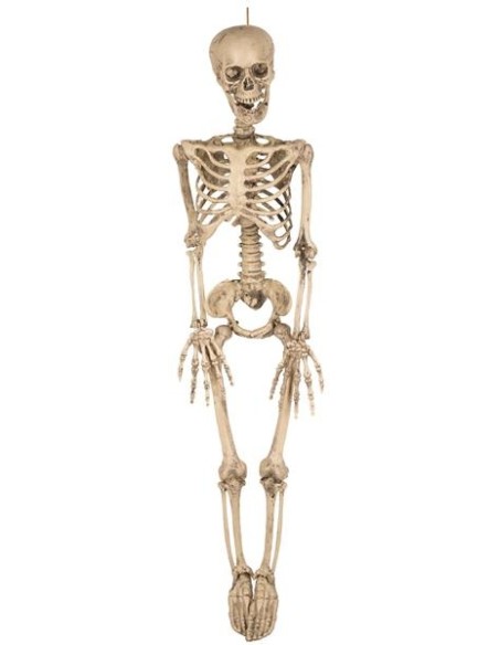 Décoration squelette 90cm