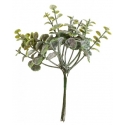Mini bouquet eucalyptus 17cm
