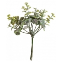 Mini bouquet eucalyptus 17cm