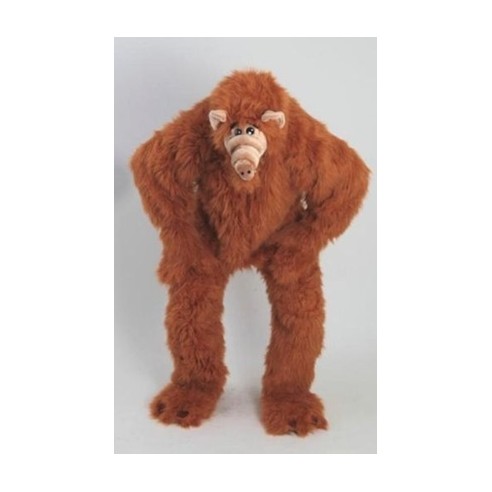 Location costume Fred Pierrafeu