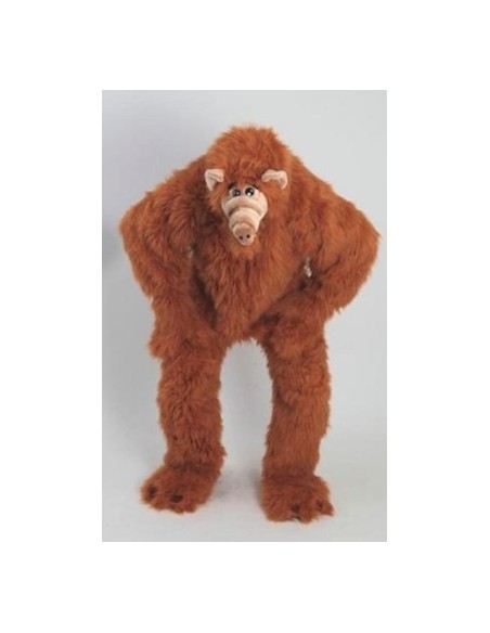 Location costume Fred Pierrafeu