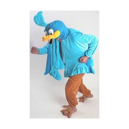 Location costume Coyotte