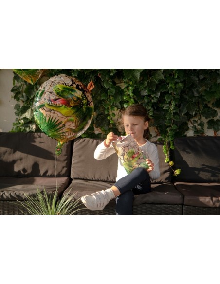 Pailles Dinosaure x8