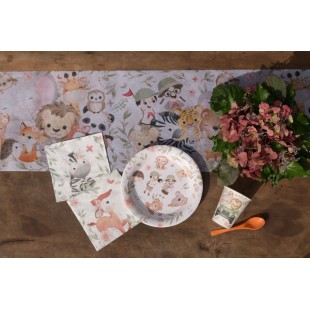 Assiettes Explorateur x10 2