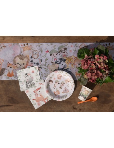 Assiettes Explorateur x10