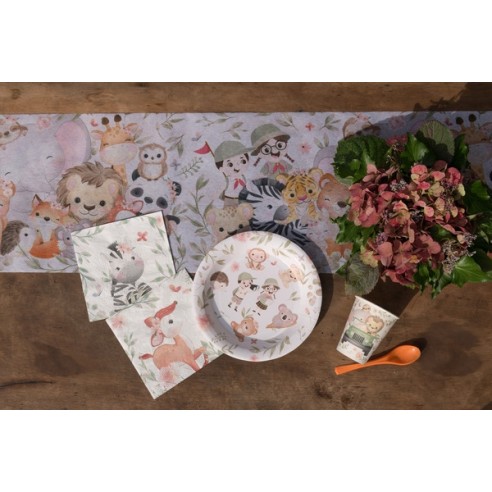 Serviettes Explorateur x20