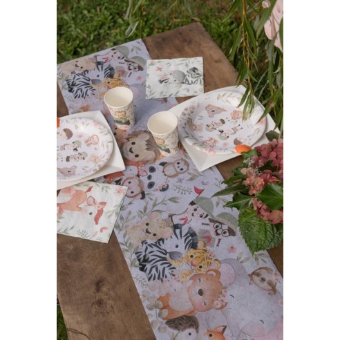 Serviettes Explorateur x20