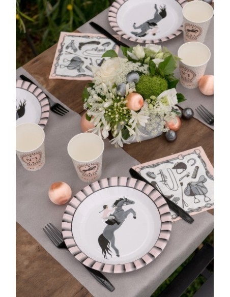 Assiettes Equitation x10