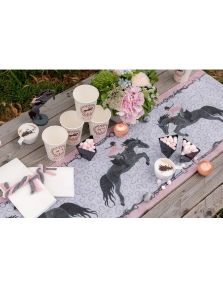 Serviettes Equitation x20