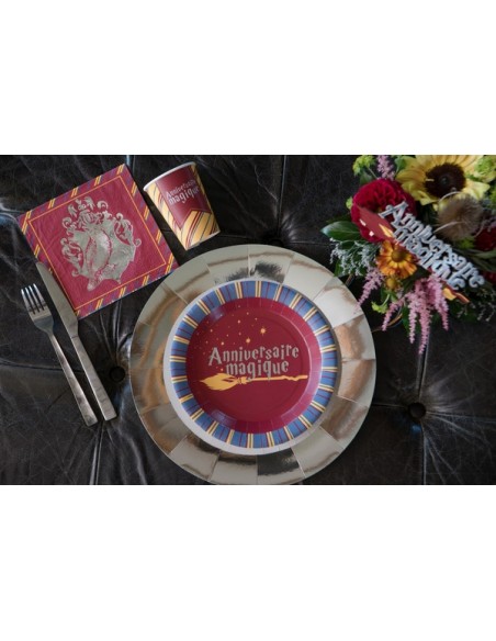 Assiettes Sorcier x10