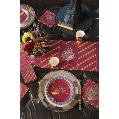 Assiettes Sorcier x10