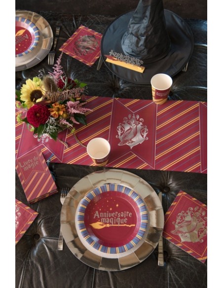 Assiettes Sorcier x10