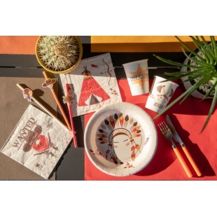 Assiettes Indiens et Cowboy x10 2