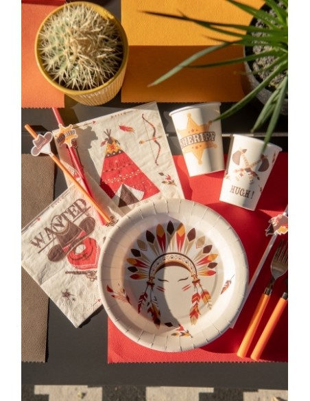 Assiettes Indiens et Cowboy x10