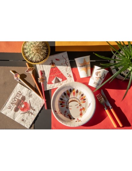 Assiettes Indiens et Cowboy x10