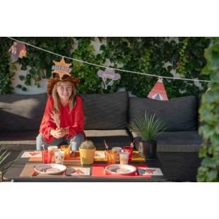 Serviettes Indiens et Cowboy x20 2