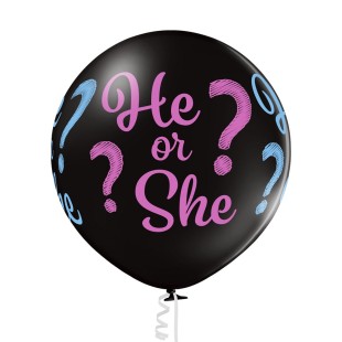 6 ballons He or she?