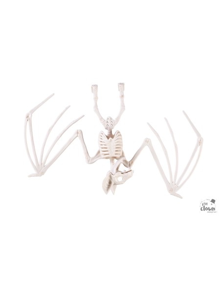 Décoration squelette 30cm