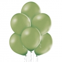 25 Ballons pastel Ø 12cm Rosemarie green