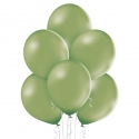 50 Ballons pastel Ø 30cm Rosemarie green