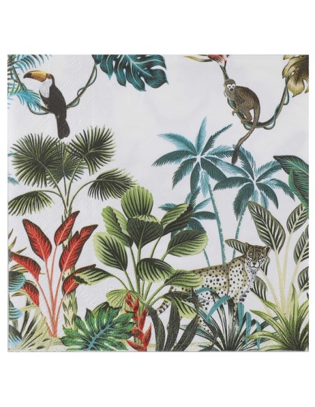 10 assiettes java Ø22.5cm