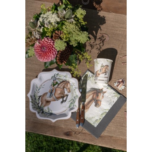 Assiettes Equitation x10
