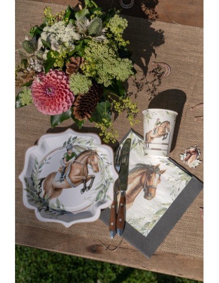 Assiettes Equitation x10