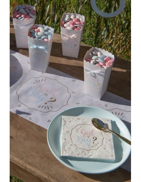 20 serviettes girl or boy?