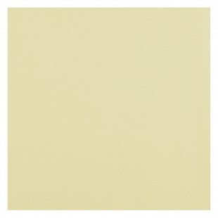 25 serviettes voie sèche 40x40cm - Blanc