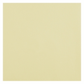 25 serviettes voie sèche 40x40cm - Blanc