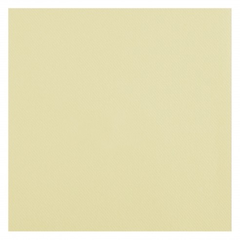 25 serviettes voie sèche 40x40cm - Blanc