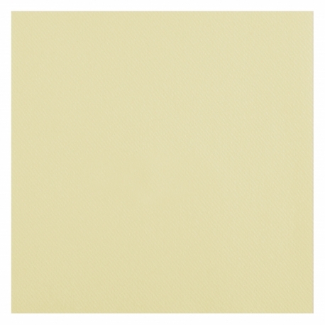25 serviettes voie sèche 40x40cm - Blanc