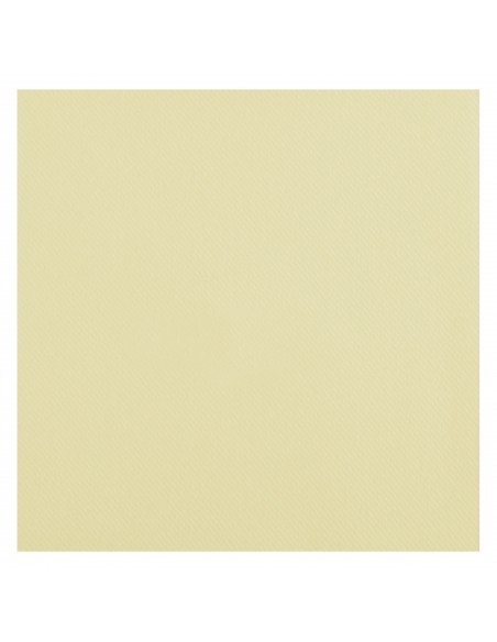 25 serviettes voie sèche 40x40cm - Blanc