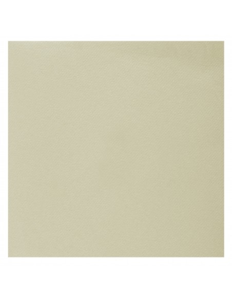 25 serviettes voie sèche 40x40cm - Ivoire