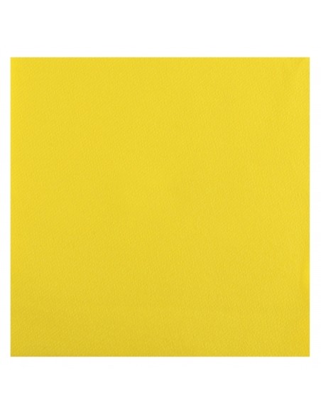 25 serviettes voie sèche 40x40cm - Terracotta