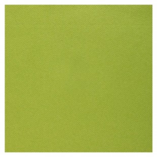 25 serviettes voie sèche 40x40cm - Vert sauge
