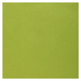 25 serviettes voie sèche 40x40cm - Vert sauge