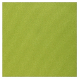 25 serviettes voie sèche 40x40cm - Vert sauge