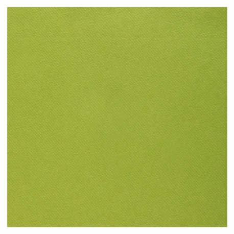 25 serviettes voie sèche 40x40cm - Vert sauge