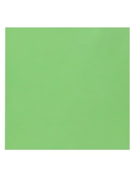 25 serviettes voie sèche 40x40cm - Kiwi