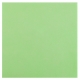 25 serviettes voie sèche 40x40cm - Vert pomme