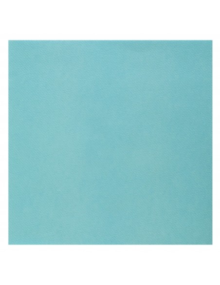 25 serviettes voie sèche 40x40cm - Pistache