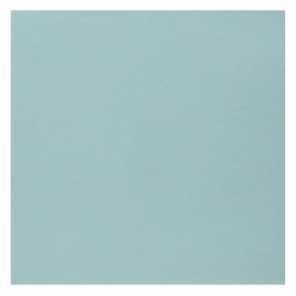 25 serviettes voie sèche 40x40cm - Aqua